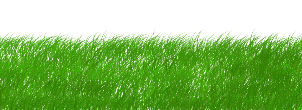 découvrez l'importance de la durabilité et explorez des solutions innovantes pour un avenir plus respectueux de l'environnement. informez-vous sur les pratiques écoresponsables et engagez-vous pour un monde durable.