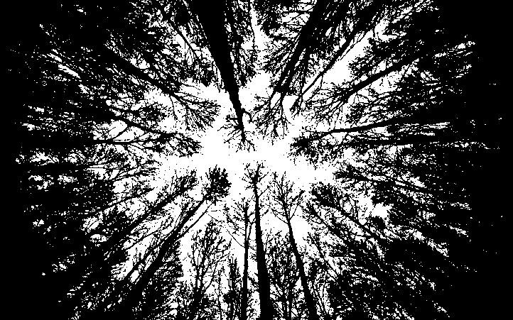 d&eacute;couvrez des initiatives &eacute;cologiques innovantes qui visent &agrave; pr&eacute;server notre plan&egrave;te. engagez-vous dans des actions durables pour un avenir meilleur.