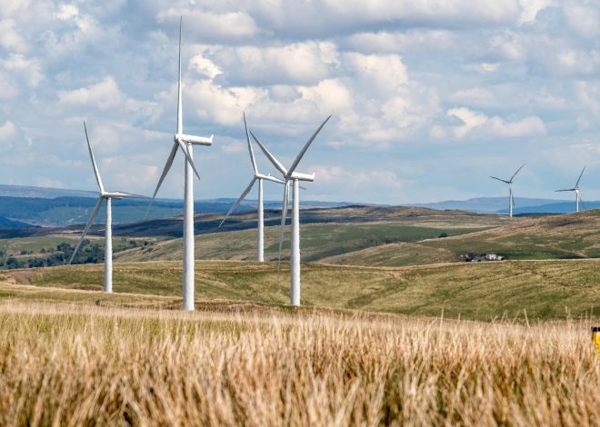 Pratiques agricoles durables : Comment allier productivité et respect de l’environnement