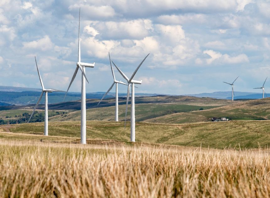 Pratiques agricoles durables : Comment allier productivité et respect de l’environnement