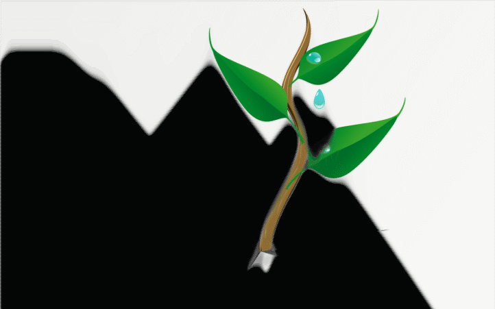 découvrez comment renforcer la résilience climatique de votre communauté ou de votre entreprise. explorez les stratégies et les solutions innovantes pour faire face aux défis environnementaux et assurer un avenir durable.