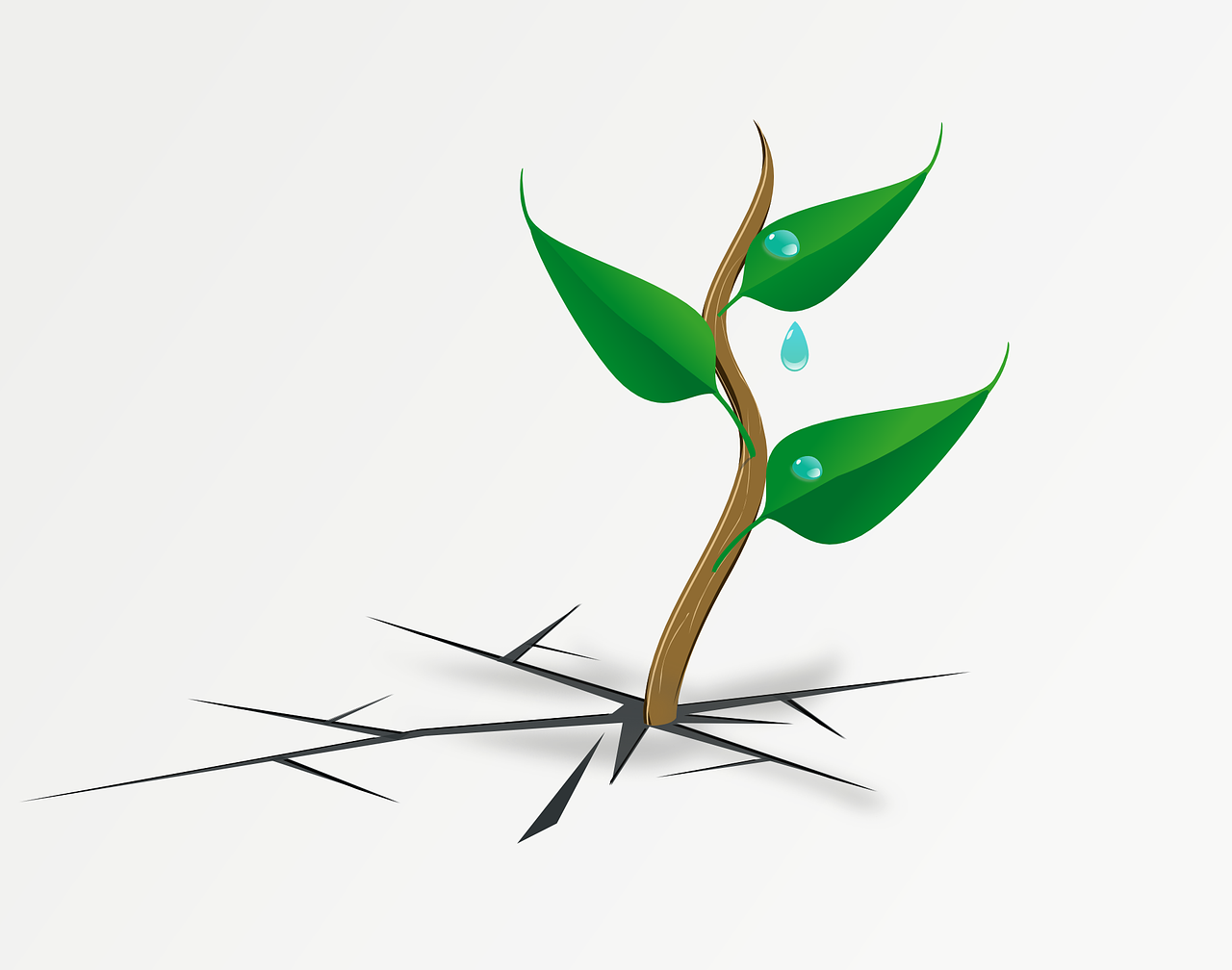 Résilience climatique : comprendre les enjeux et les solutions pour un avenir durable