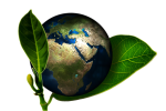 découvrez comment adopter des pratiques de responsabilité environnementale pour protéger notre planète. apprenez des stratégies essentielles pour réduire votre empreinte écologique et promouvoir un mode de vie durable.