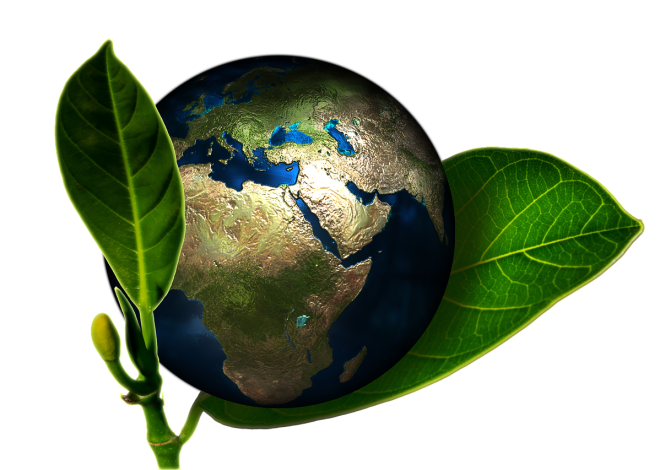 Responsabilité environnementale : Comment réduire notre impact sur la planète