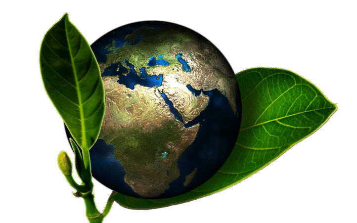 d&eacute;couvrez comment adopter des pratiques de responsabilit&eacute; environnementale pour prot&eacute;ger notre plan&egrave;te. apprenez des strat&eacute;gies essentielles pour r&eacute;duire votre empreinte &eacute;cologique et promouvoir un mode de vie durable.