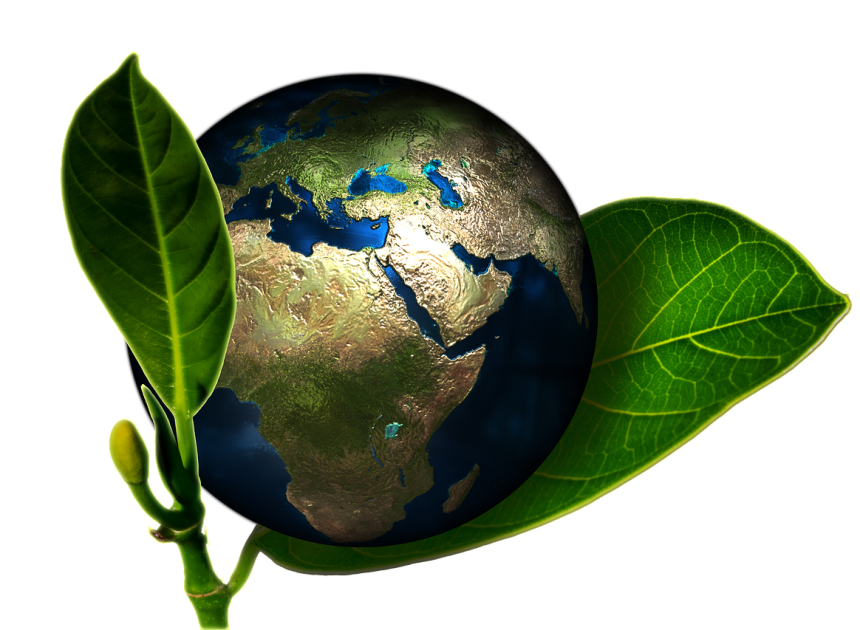 Responsabilité environnementale : Comment réduire notre impact sur la planète