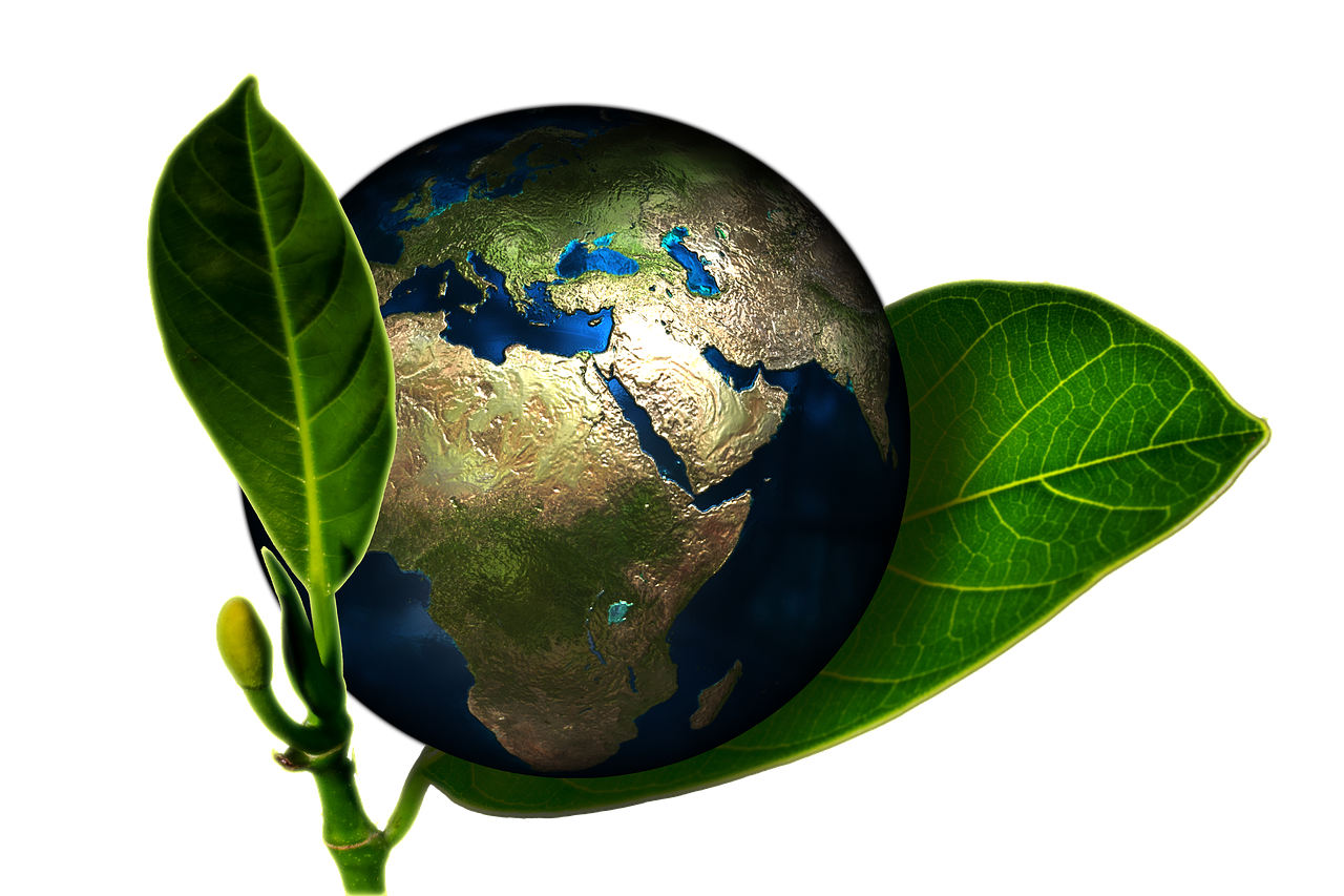 Responsabilité environnementale : Comment réduire notre impact sur la planète