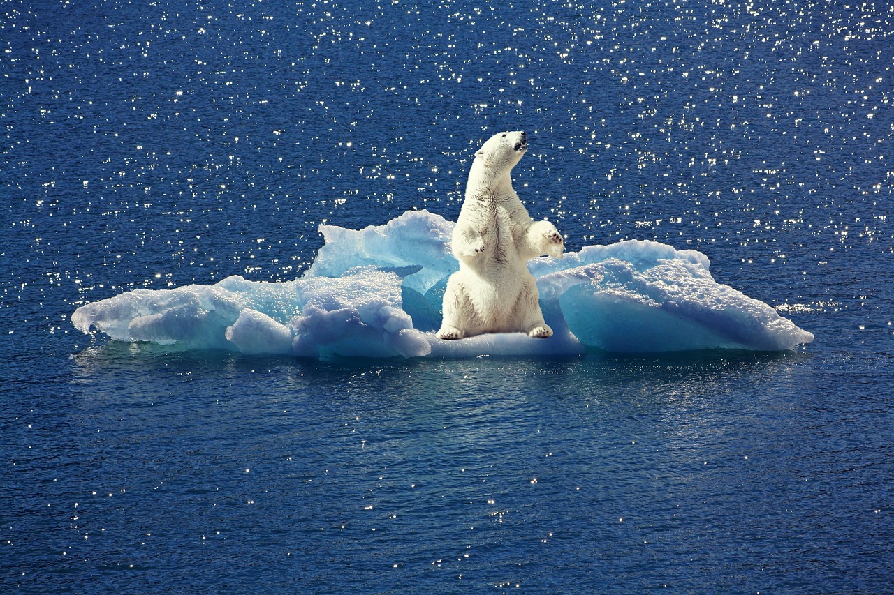 découvrez notre déclaration climatique qui souligne notre engagement envers la durabilité, la protection de l'environnement et l'action contre le changement climatique. rejoignez-nous pour bâtir un avenir plus vert et responsable.