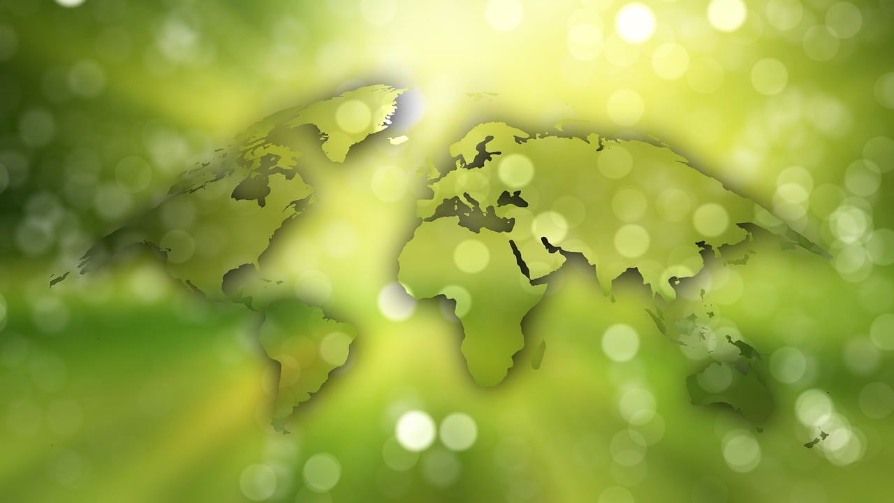 découvrez les systèmes de gestion environnementale, essentiels pour les entreprises soucieuses de leur impact écologique. apprenez comment structurer vos efforts pour réduire votre empreinte carbone et améliorer votre durabilité.