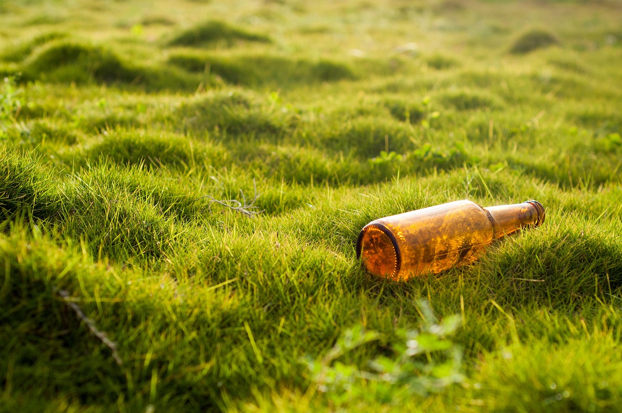 découvrez les dernières tendances environnementales qui façonnent notre planète. explorez les initiatives durables, les innovations écologiques et les actions pour un avenir plus vert et responsable.