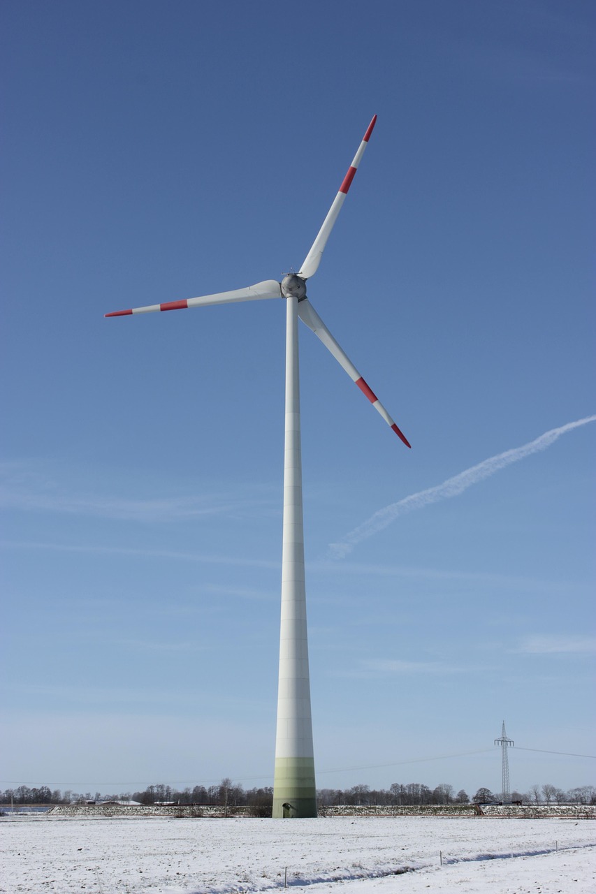découvrez l'importance de la durabilité et comment adopter des pratiques respectueuses de l'environnement pour préserver notre planète. explorez des stratégies innovantes et des exemples concrets pour un avenir durable.
