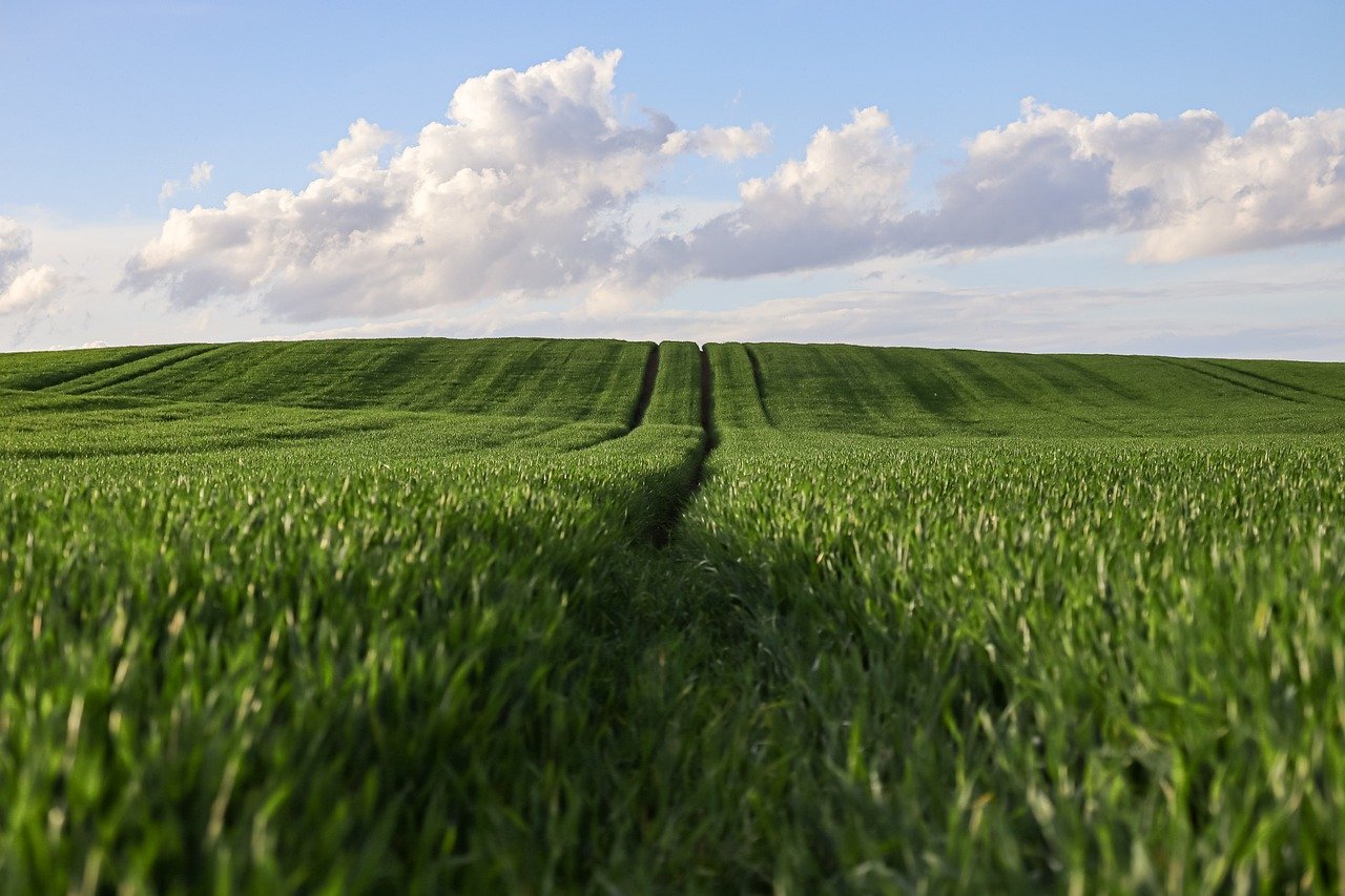 découvrez les pratiques d'agriculture durable qui préservent l'environnement tout en garantissant une production alimentaire de qualité. apprenez comment cultiver de manière responsable et contribuer à la santé de notre planète.