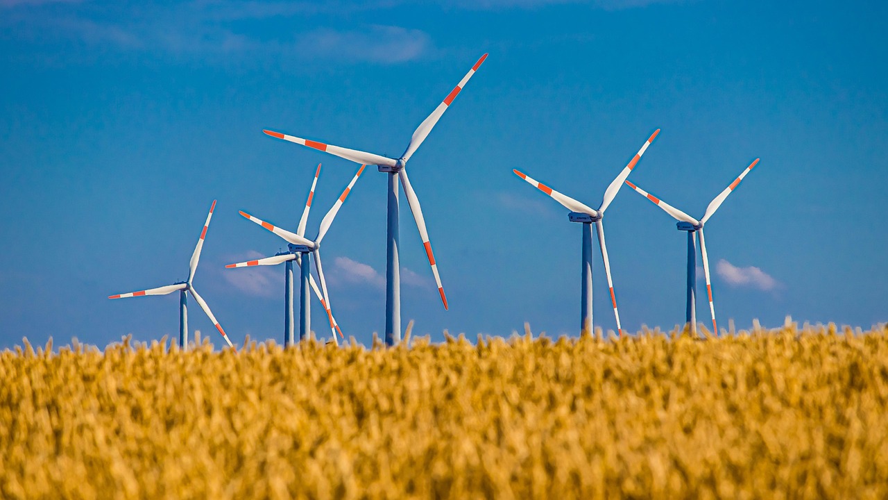 découvrez les pratiques de l'agriculture durable, qui préservent l'environnement tout en assurant une production alimentaire saine et responsable. apprenez comment allier rentabilité et durabilité pour un avenir meilleur.