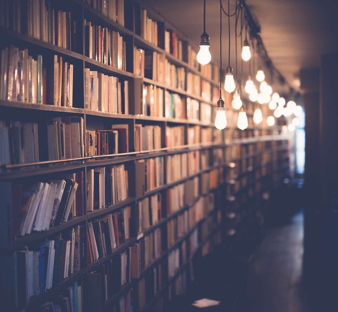 découvrez comment l'éducation durable transforme l'apprentissage en intégrant des pratiques respectueuses de l'environnement et en promouvant une conscience sociale. explorez les méthodes innovantes et les ressources pour développer une éducation axée sur la durabilité.