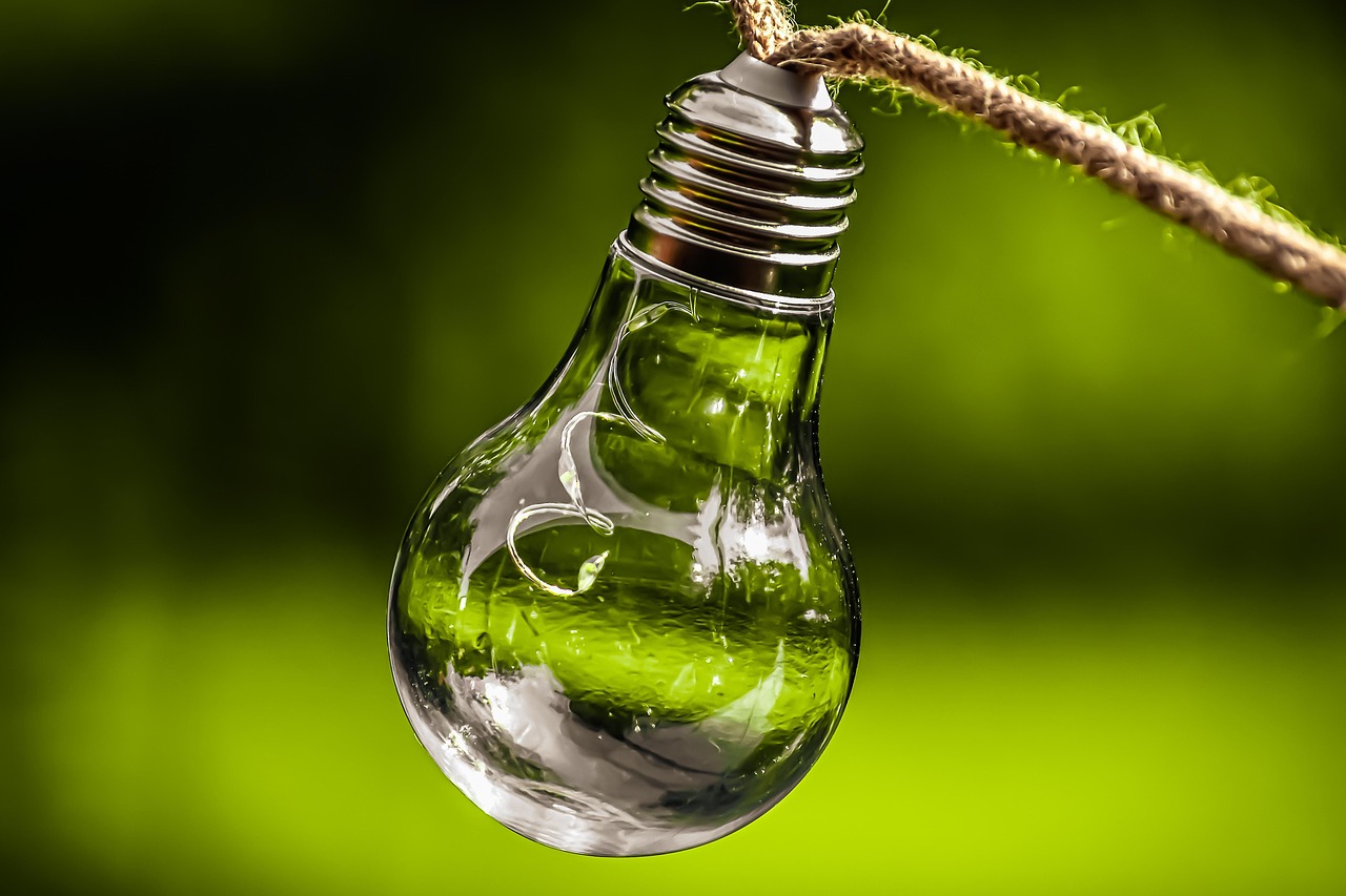 découvrez comment adopter des pratiques éco-responsables pour préserver l'environnement et garantir la durabilité des ressources naturelles. toutes les clés pour comprendre la durabilité environnementale et agir au quotidien.