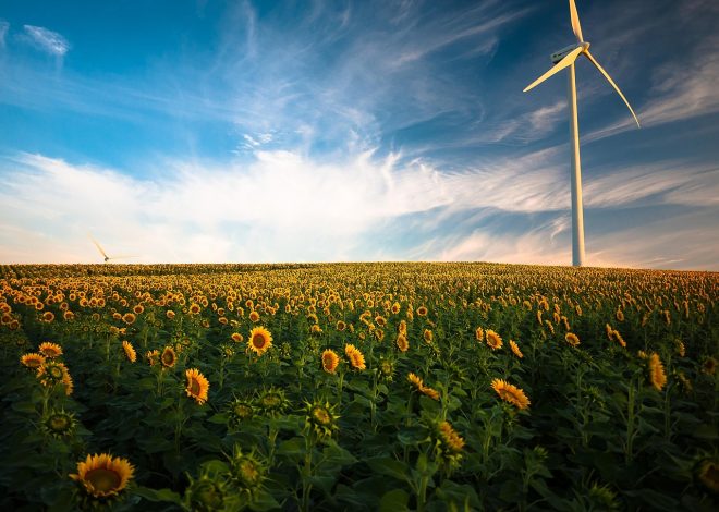 Allemagne : la montée des énergies renouvelables entraîne une baisse significative des émissions de carbone