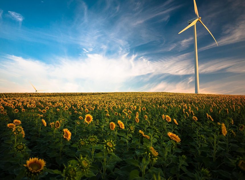 Allemagne : la montée des énergies renouvelables entraîne une baisse significative des émissions de carbone