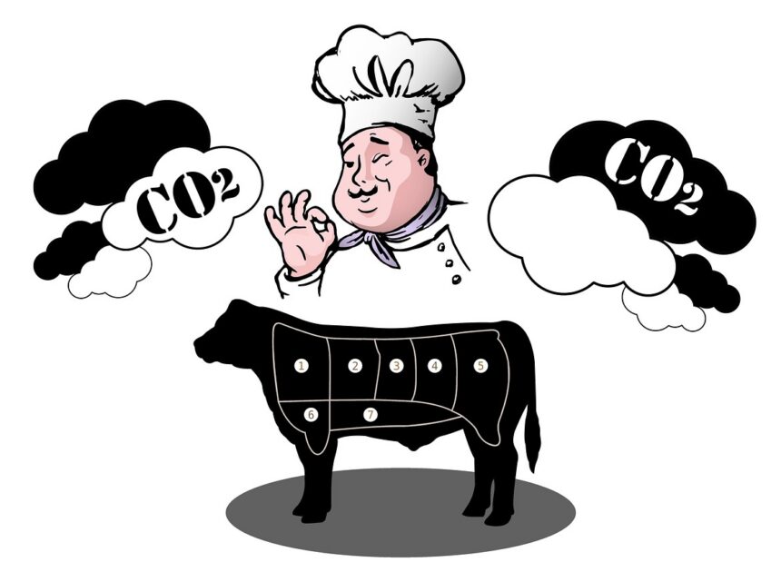 Analyse du bilan carbone : Comprendre notre empreinte environnementale