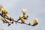 découvrez l'impact environnemental des activités humaines, ses conséquences sur la planète et les solutions pour préserver notre écosystème au quotidien.