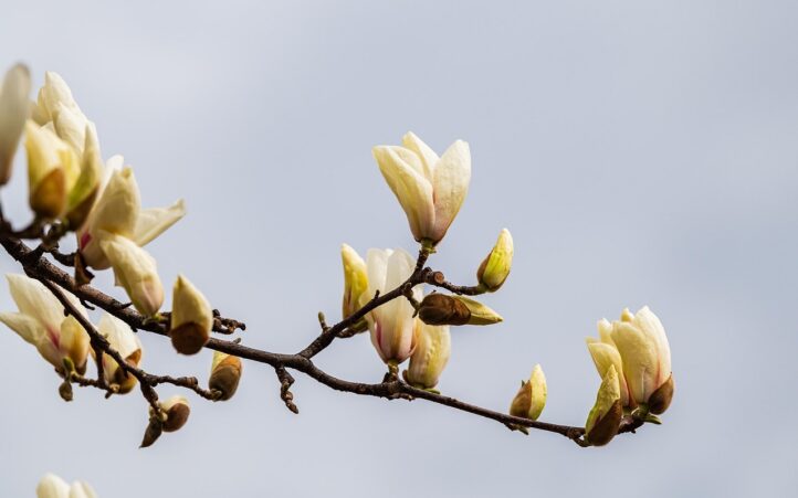 découvrez l'impact environnemental des activités humaines, ses conséquences sur la planète et les solutions pour préserver notre écosystème au quotidien.