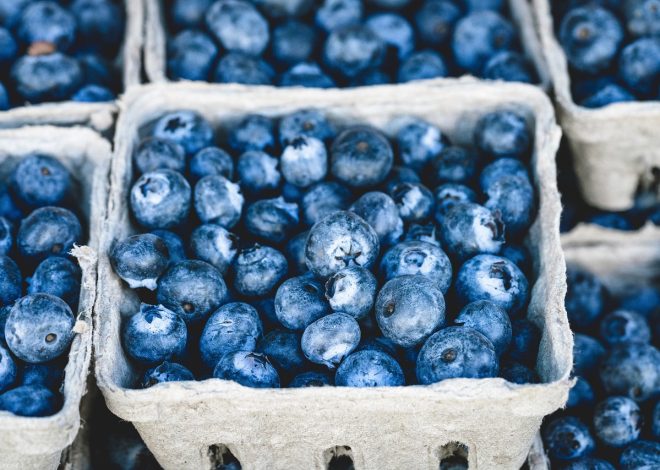 Les agriculteurs en attente d’une aide écologique pour optimiser leur empreinte carbone