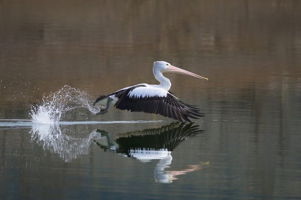 passez à l’action dès maintenant ! découvrez nos conseils et ressources pratiques pour transformer vos idées en réalisations concrètes et atteindre vos objectifs.