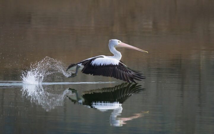 passez à l’action dès maintenant ! découvrez nos conseils et ressources pratiques pour transformer vos idées en réalisations concrètes et atteindre vos objectifs.
