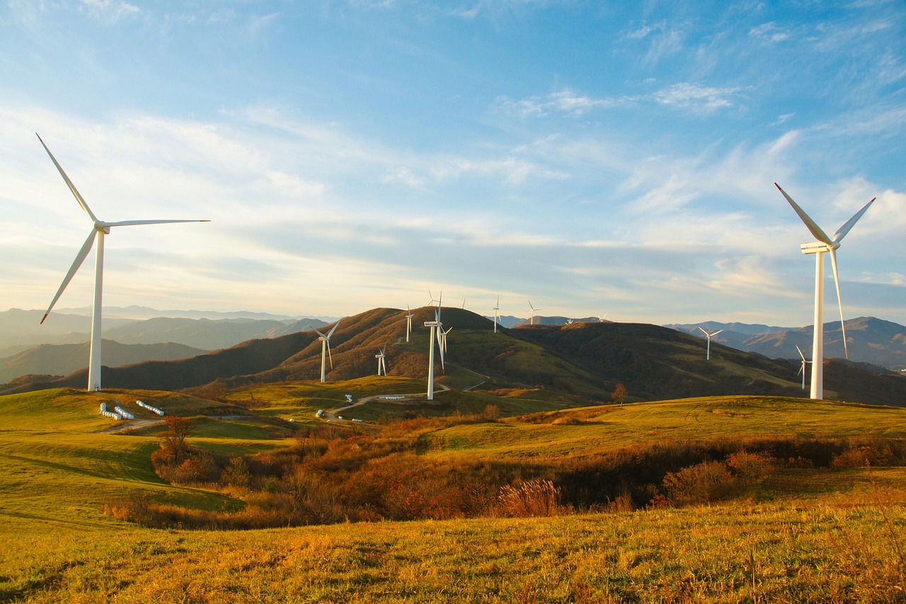 Soutien aux entreprises : Accélérer la transition vers une écologie durable