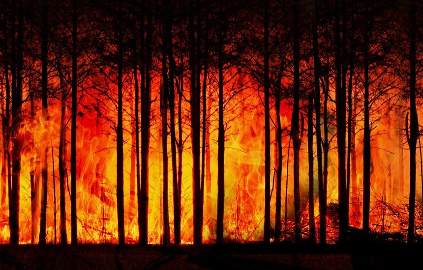Une étude révèle que chaque individu peut contribuer positivement à la lutte contre le changement climatique