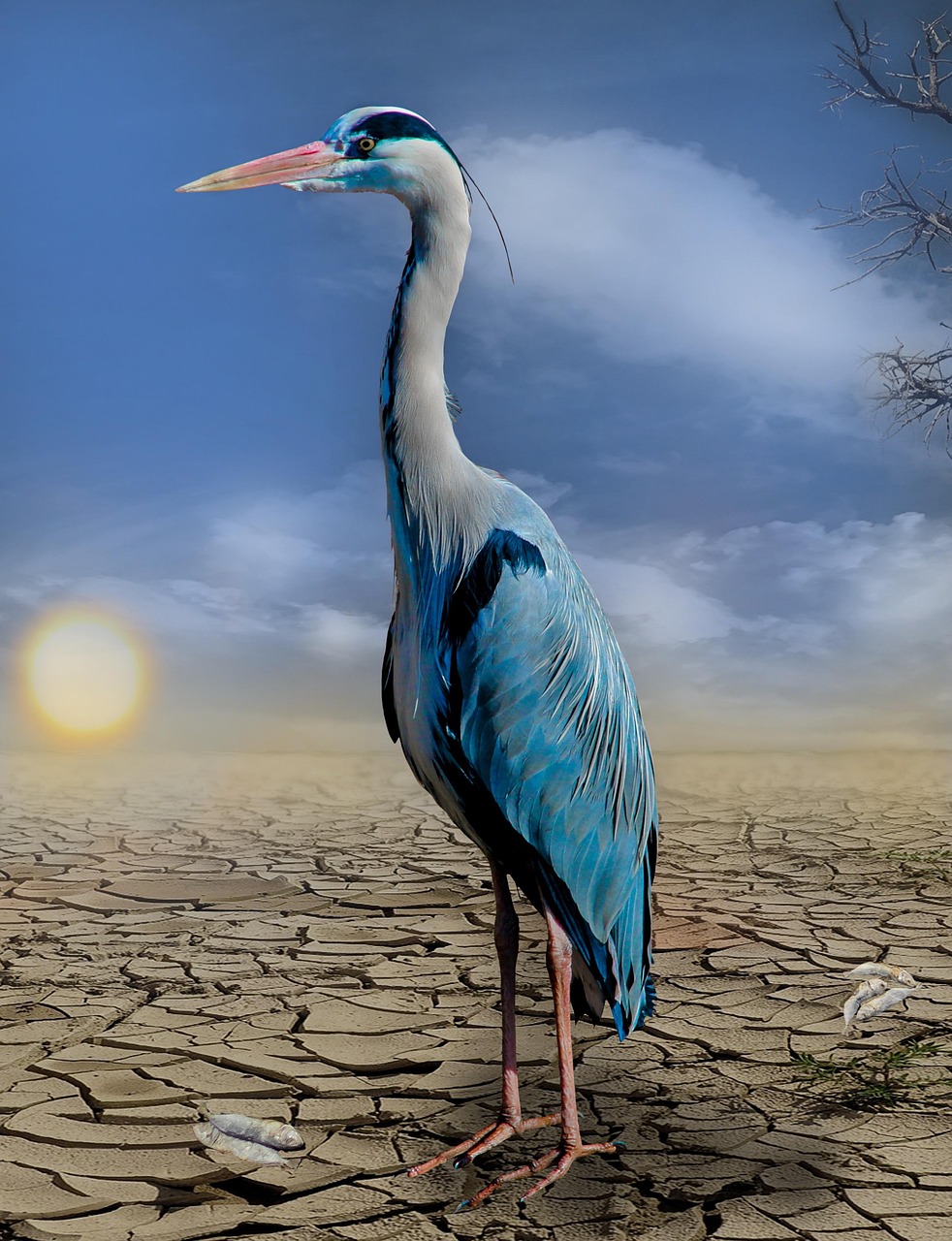 découvrez comment renforcer la résilience climatique grâce à des stratégies innovantes, des solutions durables et des initiatives adaptées pour faire face aux impacts du changement climatique.