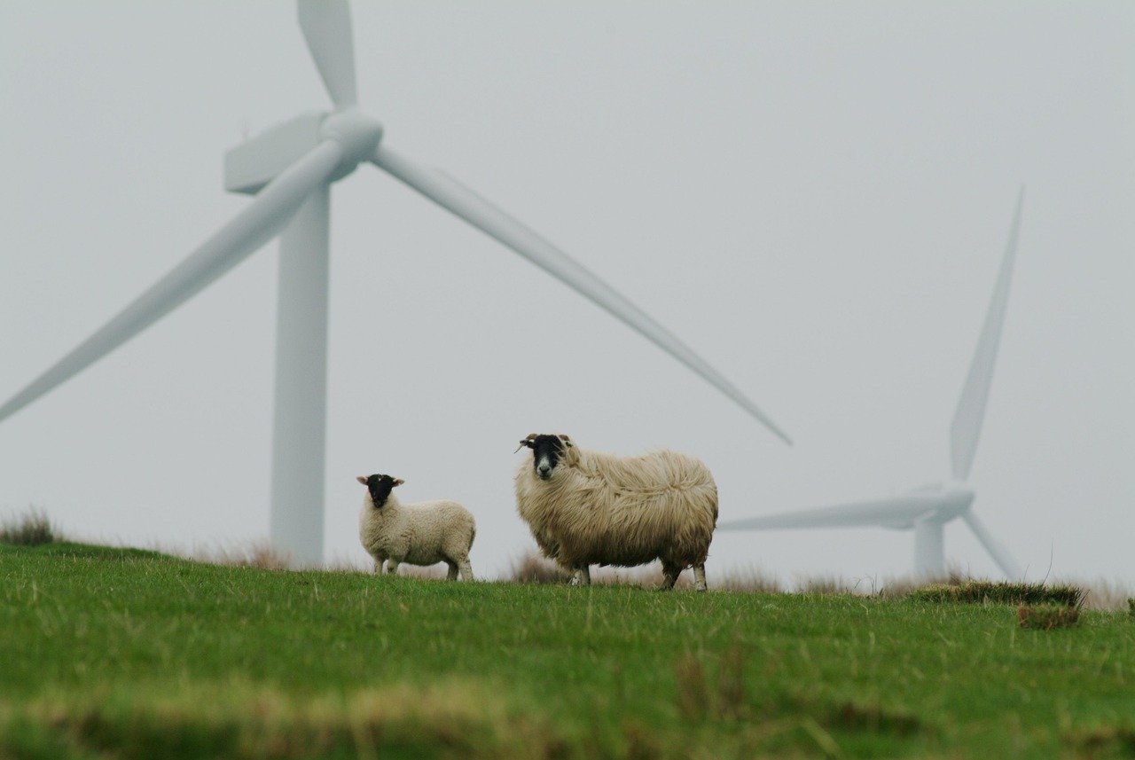 découvrez comment adopter la durabilité dans votre quotidien grâce à des conseils pratiques et des ressources innovantes pour préserver l’environnement et bâtir un avenir plus responsable.