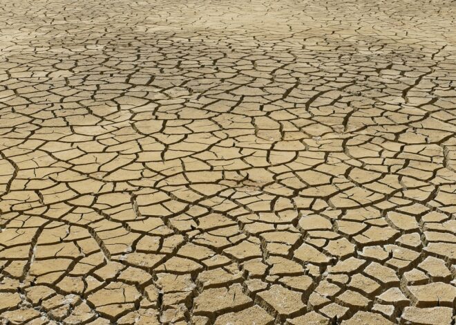 Anticiper et s’adapter aux défis du changement climatique