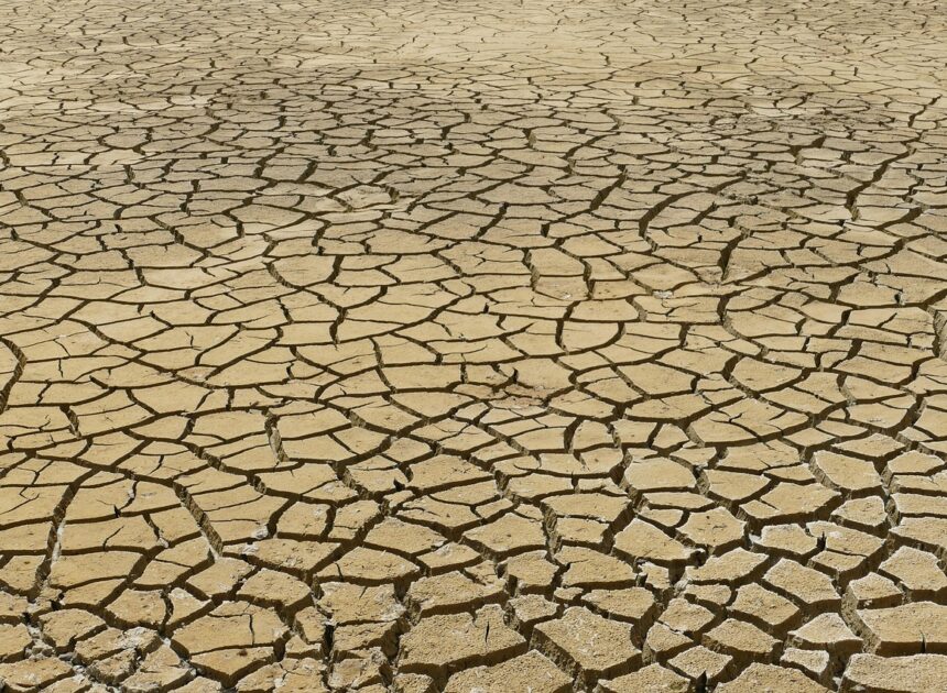 Anticiper et s’adapter aux défis du changement climatique