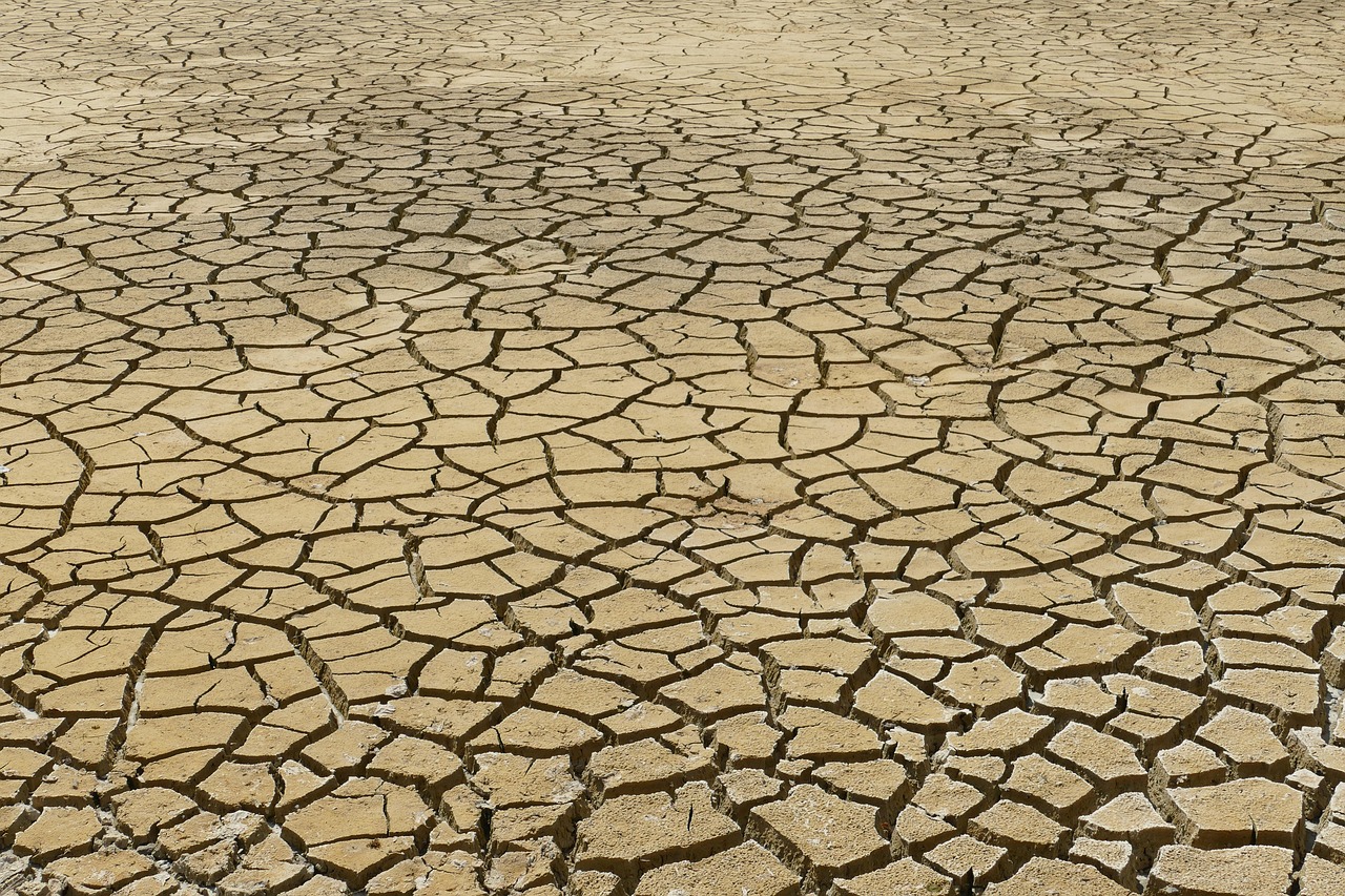 Anticiper et s’adapter aux défis du changement climatique