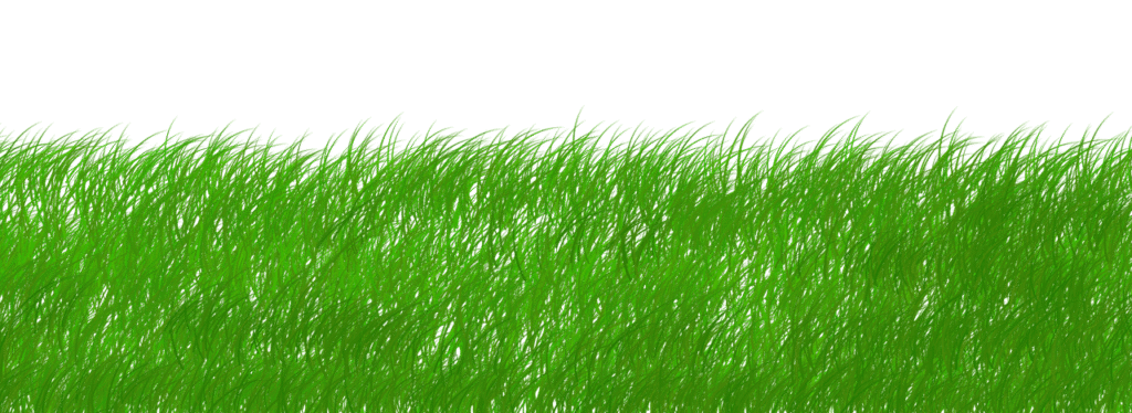 découvrez les principes clés de la sustainability : adopter des pratiques respectueuses de l’environnement, réduire l’empreinte écologique et bâtir un avenir durable pour tous.