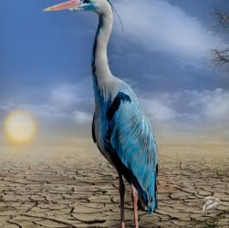 découvrez comment agir concrètement pour lutter contre le changement climatique. solutions, initiatives et conseils pratiques pour une action climatique efficace et responsable.