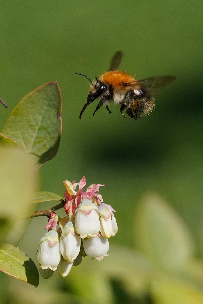 adoptez une approche digitale éthique pour concilier innovation technologique, respect de la vie privée et responsabilité sociale au sein de votre organisation.