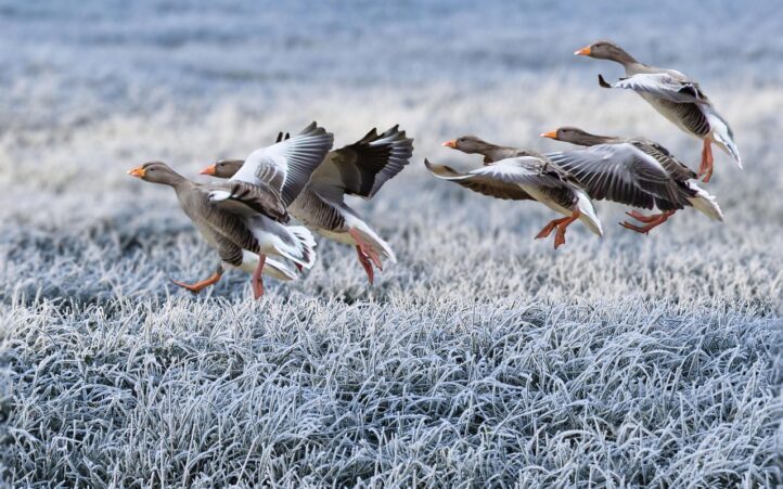 adoptez une approche digitale éthique pour allier performance, respect de la vie privée et responsabilité sociale dans vos stratégies numériques.