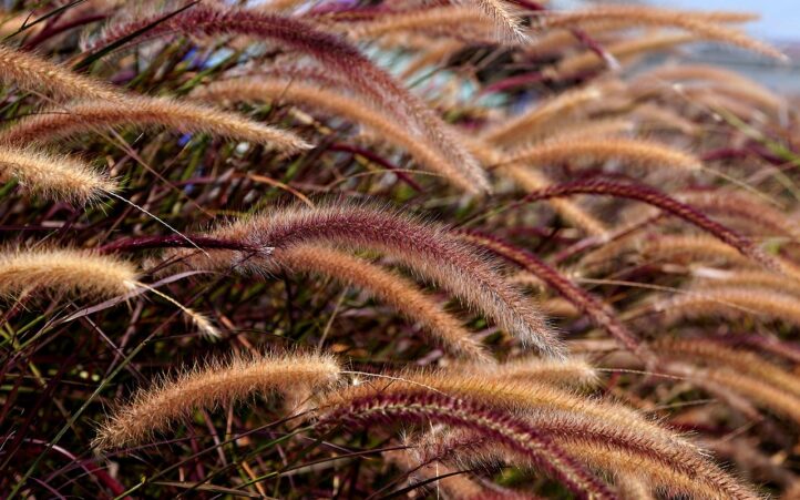 d&eacute;couvrez le gaming &eacute;co-responsable : jouez tout en respectant l'environnement gr&acirc;ce &agrave; des pratiques et &eacute;quipements durables.