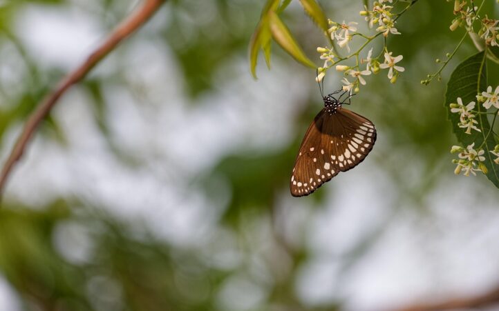 découvrez notre triathlon éco-responsable alliant performance sportive et respect de l'environnement. participez à un événement durable et innovant !