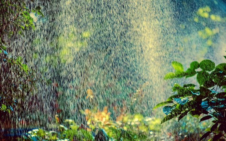 d&eacute;couvrez tout sur la canicule : conseils pour se prot&eacute;ger, impact sur la sant&eacute; et astuces pour rester au frais pendant les vagues de chaleur.