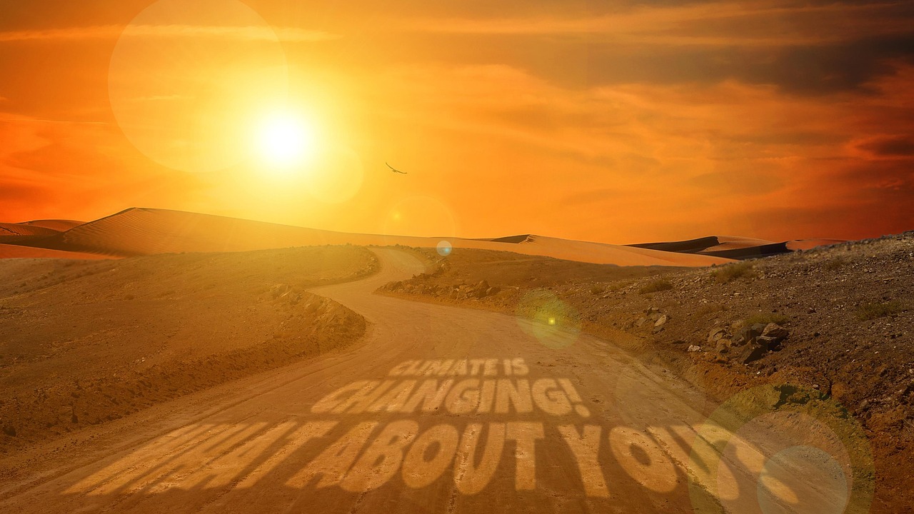 d&eacute;couvrez les engagements de l'inde en mati&egrave;re de climat et ses strat&eacute;gies pour lutter contre le changement climatique tout en soutenant son d&eacute;veloppement &eacute;conomique.