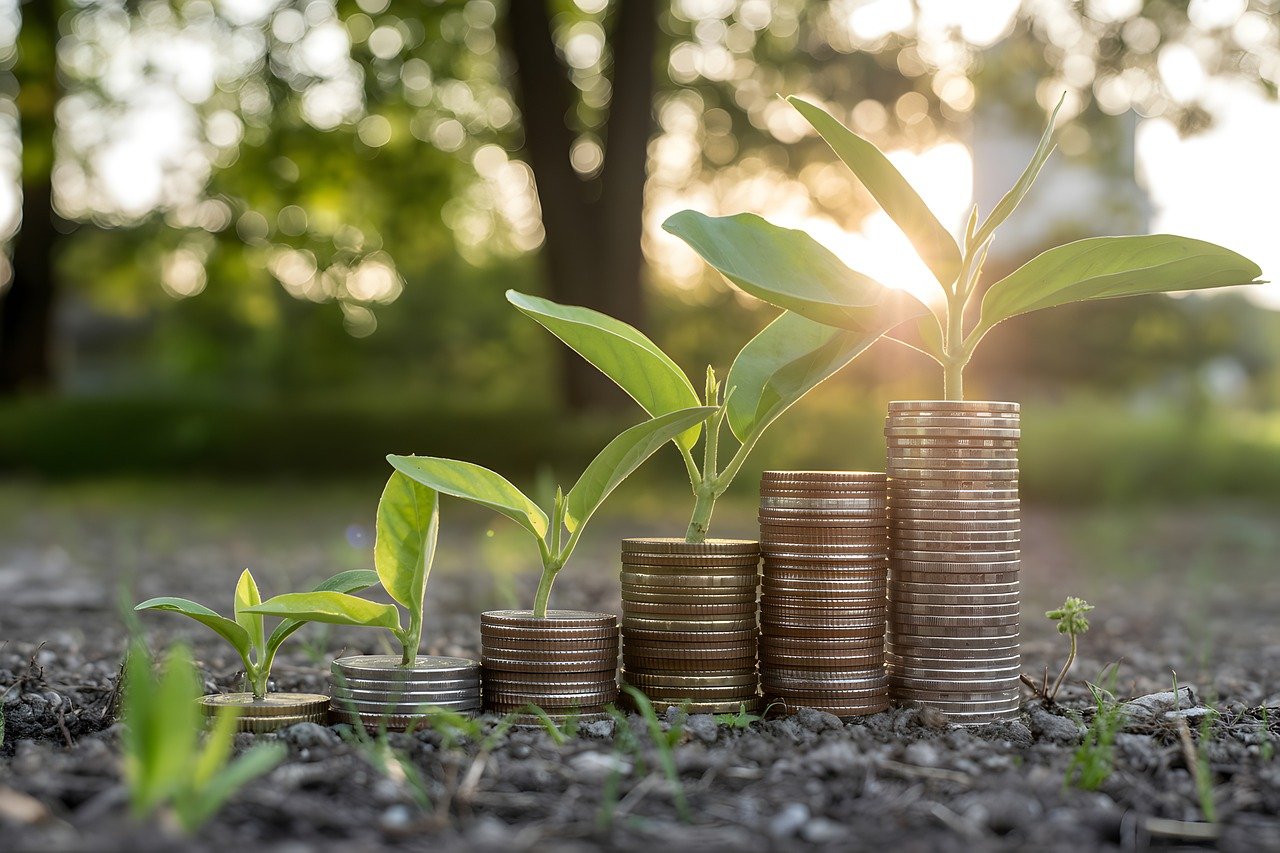 d&eacute;couvrez comment adopter une &eacute;conomie durable pour pr&eacute;server les ressources naturelles, favoriser l'innovation responsable et assurer un avenir prosp&egrave;re pour les g&eacute;n&eacute;rations futures.