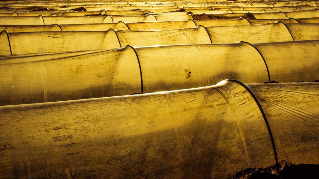 découvrez l'impact des émissions de gaz à effet de serre provenant de l'agriculture et les solutions pour réduire leur empreinte environnementale.