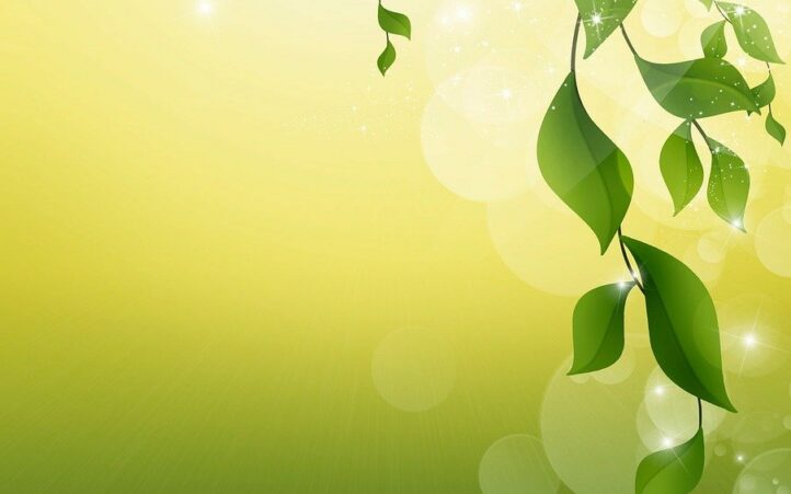d&eacute;couvrez tout sur l'&eacute;cologie : protection de l'environnement, biodiversit&eacute; et actions durables pour un avenir responsable.