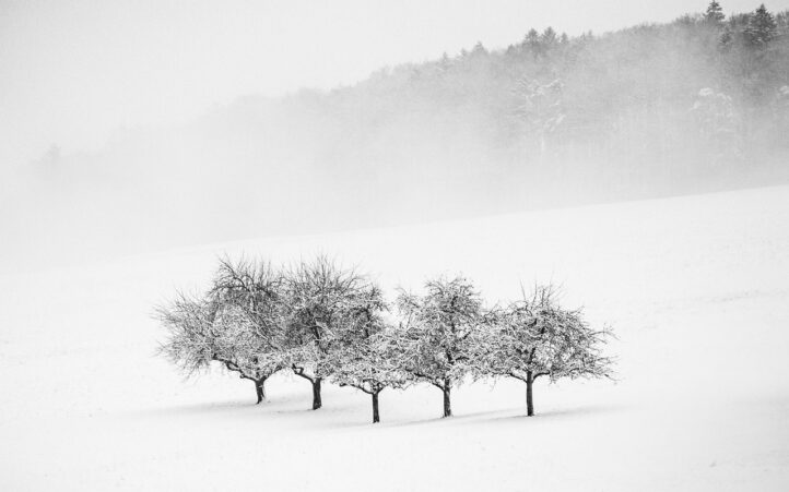 d&eacute;couvrez le minimalisme : un art de vivre qui privil&eacute;gie la simplicit&eacute;, l'essentiel et la sobri&eacute;t&eacute; pour un quotidien plus &eacute;pur&eacute; et harmonieux.