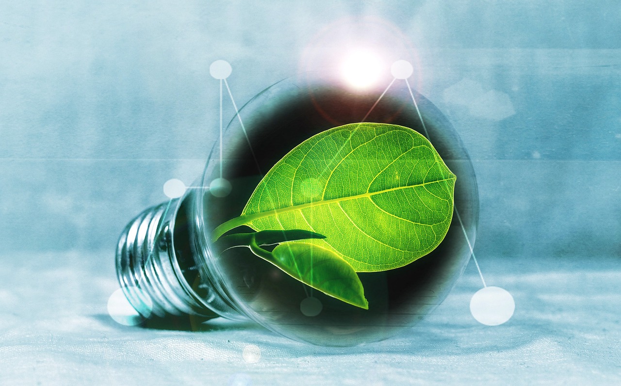 d&eacute;couvrez les enjeux et solutions de la transition &eacute;nerg&eacute;tique pour un avenir durable, avec un focus sur les &eacute;nergies renouvelables et l'efficacit&eacute; &eacute;nerg&eacute;tique.