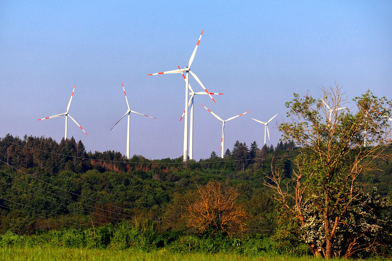d&eacute;couvrez les enjeux et solutions de la transition &eacute;nerg&eacute;tique pour un avenir durable et respectueux de l'environnement.