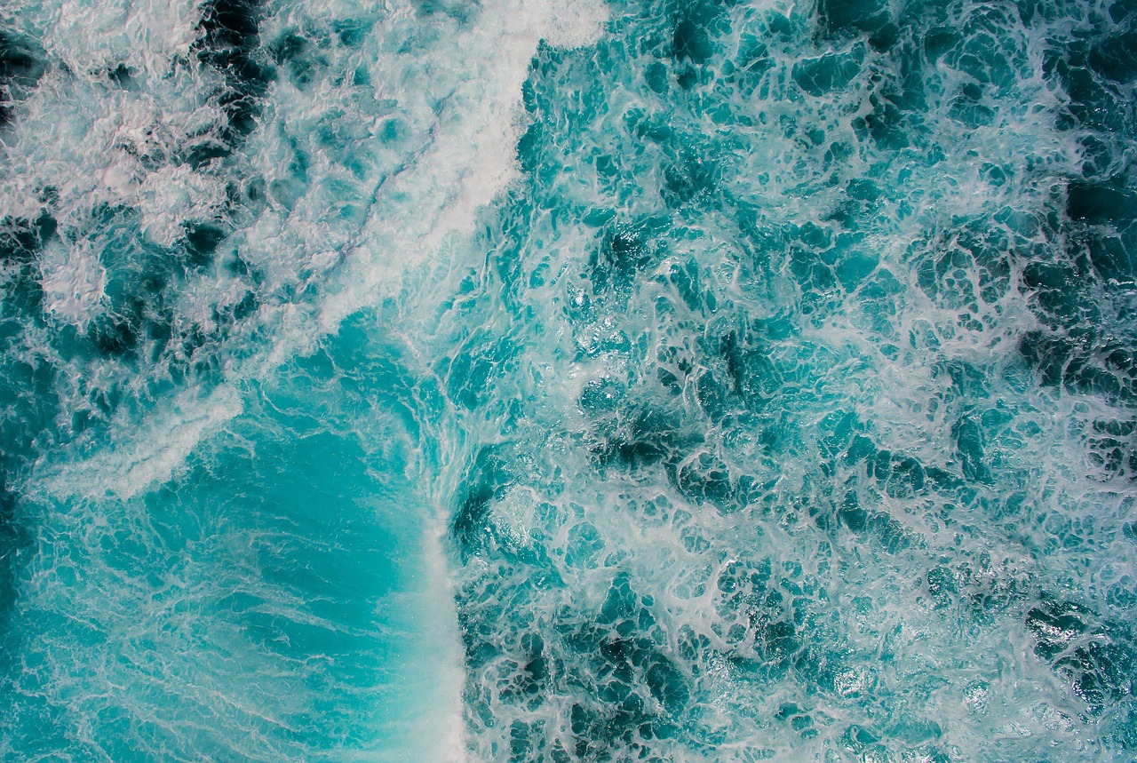 d&eacute;couvrez l'immensit&eacute; et la beaut&eacute; de l'oc&eacute;an, un monde myst&eacute;rieux regorgeant de vie marine, de paysages &agrave; couper le souffle et d'aventures inoubliables.