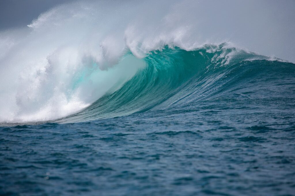 découvrez la beauté et la grandeur de l'océan, un monde fascinant rempli de mystères, de vie marine abondante et de paysages à couper le souffle.
